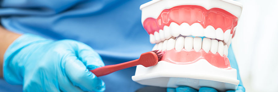 Gum Care & Periodontal Treatment